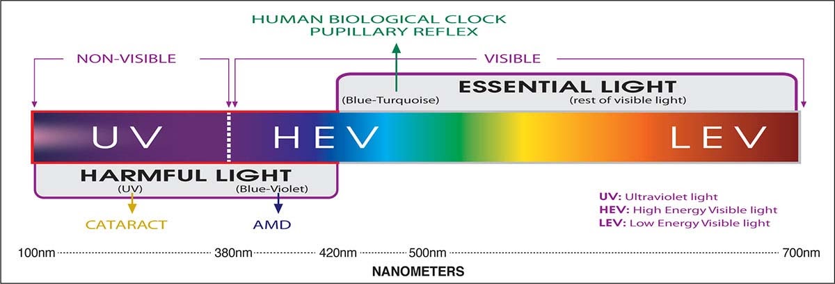 what is blue light